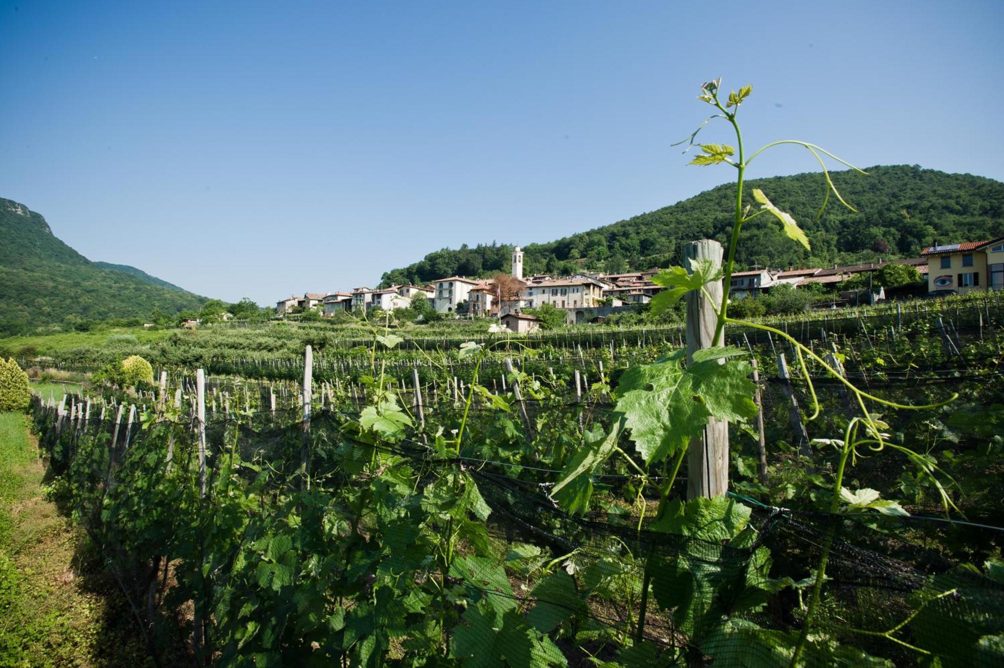 Charming B&B And Osteria La Crisalide Meride Exterior foto