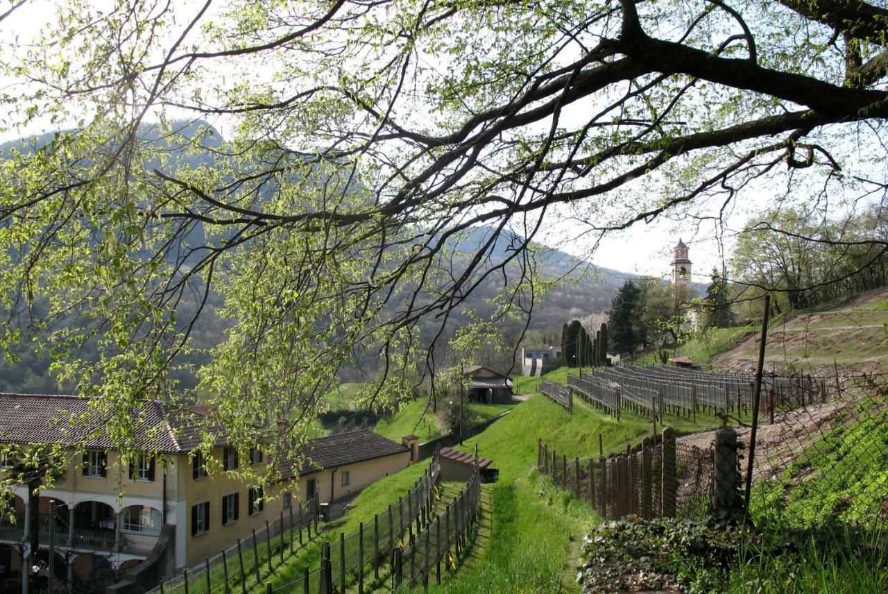 Charming B&B And Osteria La Crisalide Meride Exterior foto